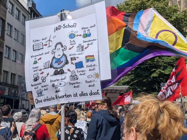 Düsseldorf: 3.000 fordern Prüfung rechtsextremer Parteien